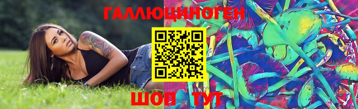 Псилоцибиновые грибы Psilocybe  Вход с VPN  Псилоцибиновые грибы Psilocybe  Заринск 