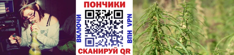 Марихуана индика  Заринск 